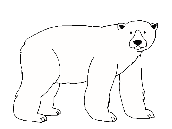 Polar Bear.png