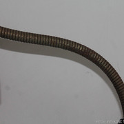 IMG-4008