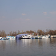 DSC03559