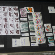 IMG-3556