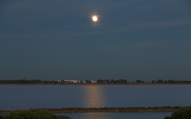 IMG-3369