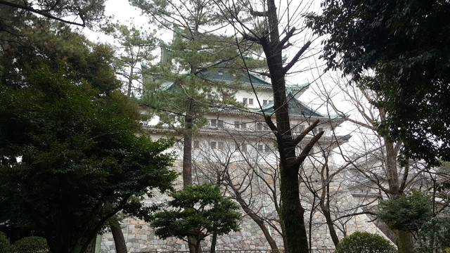 20190303-061734
