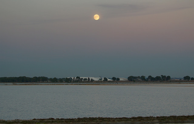 IMG-3363