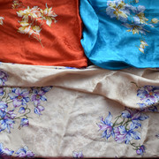 DSC-0249