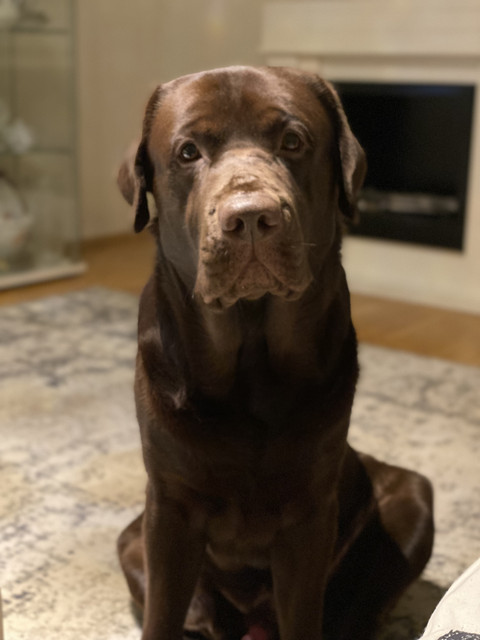 9-EF3-F493-B5-E9-477-D-B6-A1-12-A05-DB50