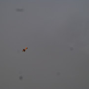 DSC01101
