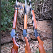 Marlin39d39tds39a
