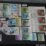 IMG-2583