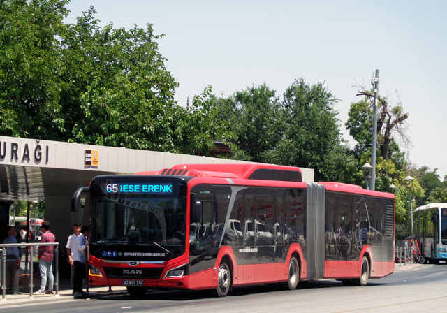IMG-6351