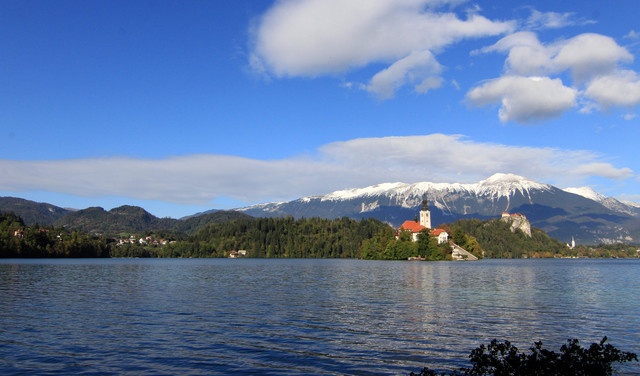 IMG-0158