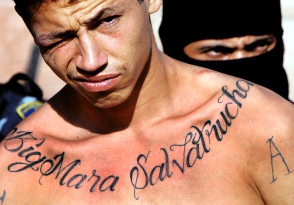 MS-13.jpg