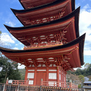 IMG-2717