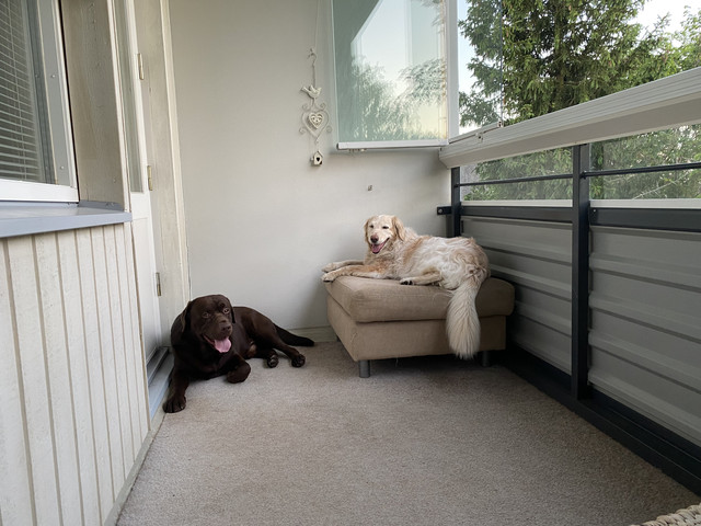 E25020-A0-2145-4-FFD-8242-E26-A8-EF50-F1