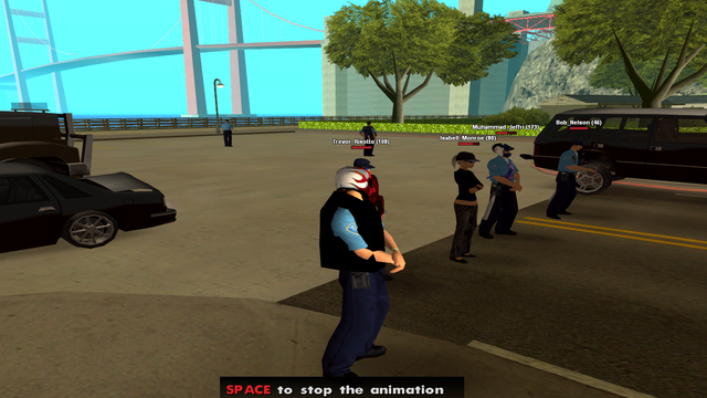 sa-mp-006.png