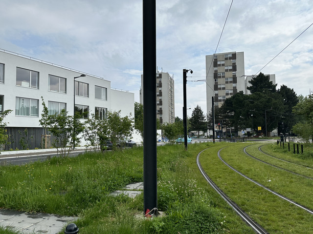 IMG-4111