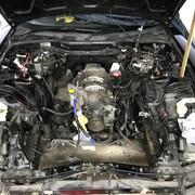 IMG-4349