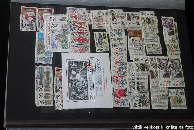 IMG-3056.jpg