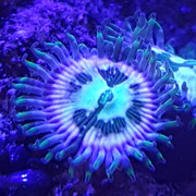 20180807 124532