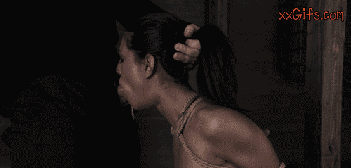 03F23A5.gif