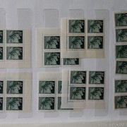 IMG-2104