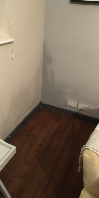Damp-1