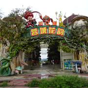 DSC05724