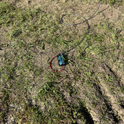 IMG-9440