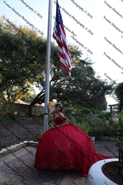 IMG 2547