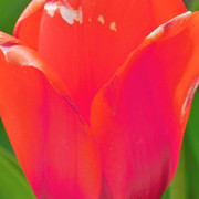 DSCN0254