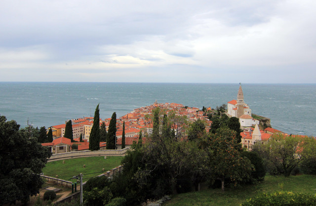 IMG-9790.jpg