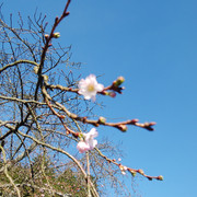 IMG-20221127-093655