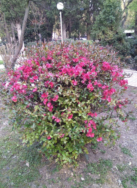 20190403-145330