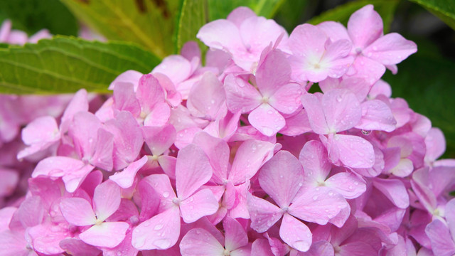 20130623220106fac