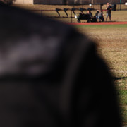 IMG-4565