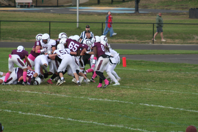 IMG-0205.jpg