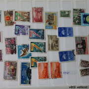 IMG-3016