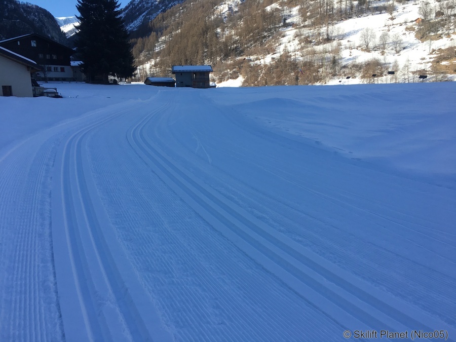 IMG-8433.jpg