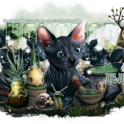 Lin-Misticheskaya-Haunted-Forest2-Jewels