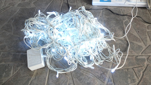 DSCF2750