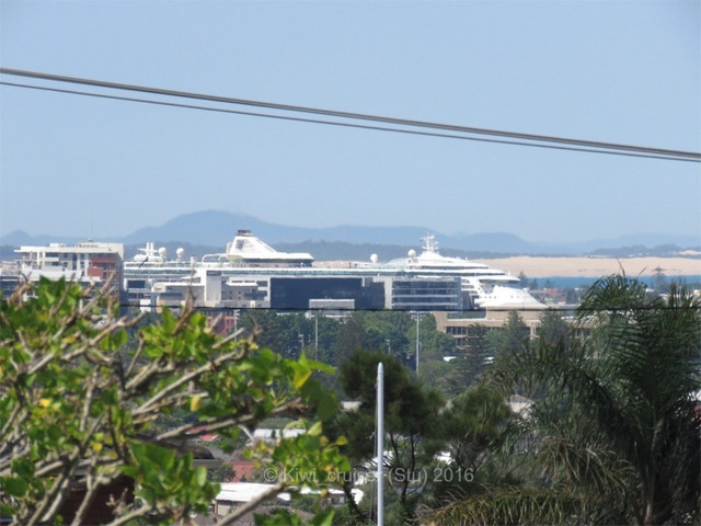 IMG-6897.jpg