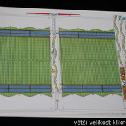 IMG-6774