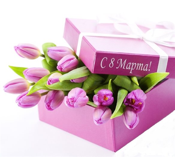 84771-FC1-9-E28-4656-9-C50-F1-DA87305-BF