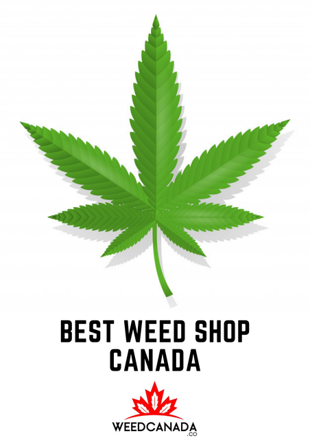 Best-Weed-Shop-Canada-4