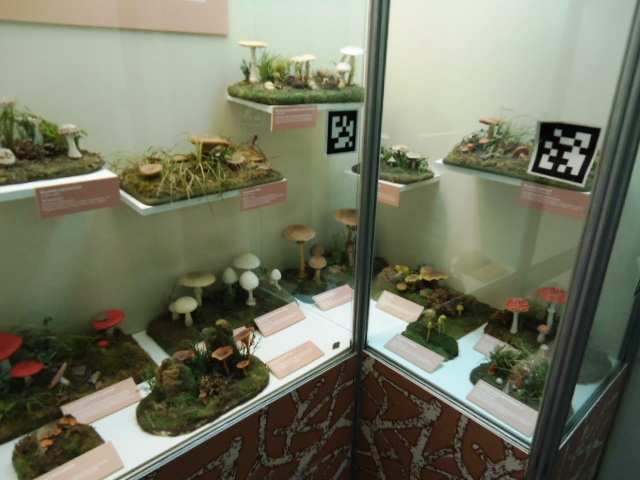 IPB Image