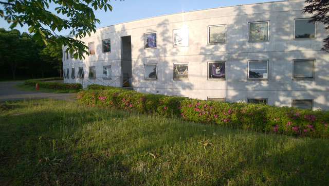 DSC-0018.jpg