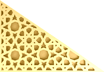 transparent.png