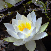 IMGP2647