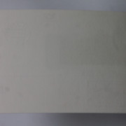 IMG-5029