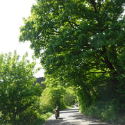 DSCF7949