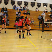 IMG-0074